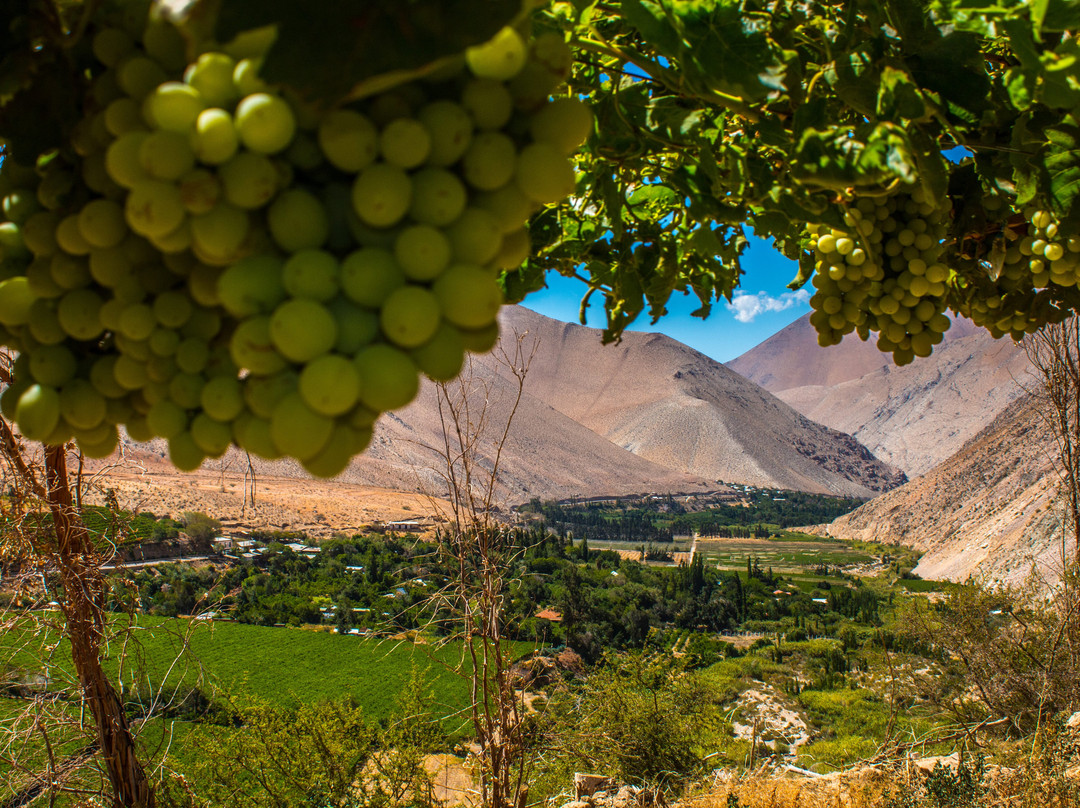 Ecoturismo La Serena-拉塞雷纳必去景点