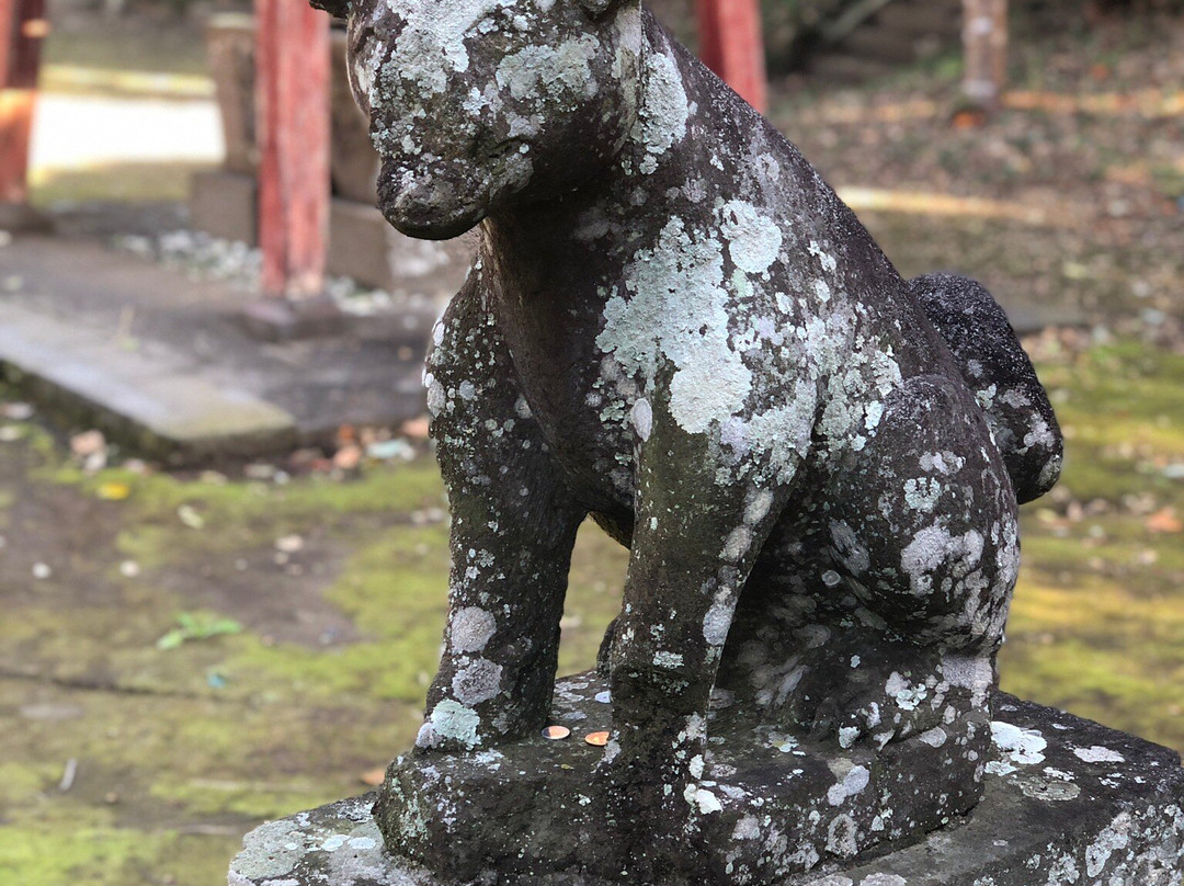 Tamasaki Shrine-夷隅市必去景点
