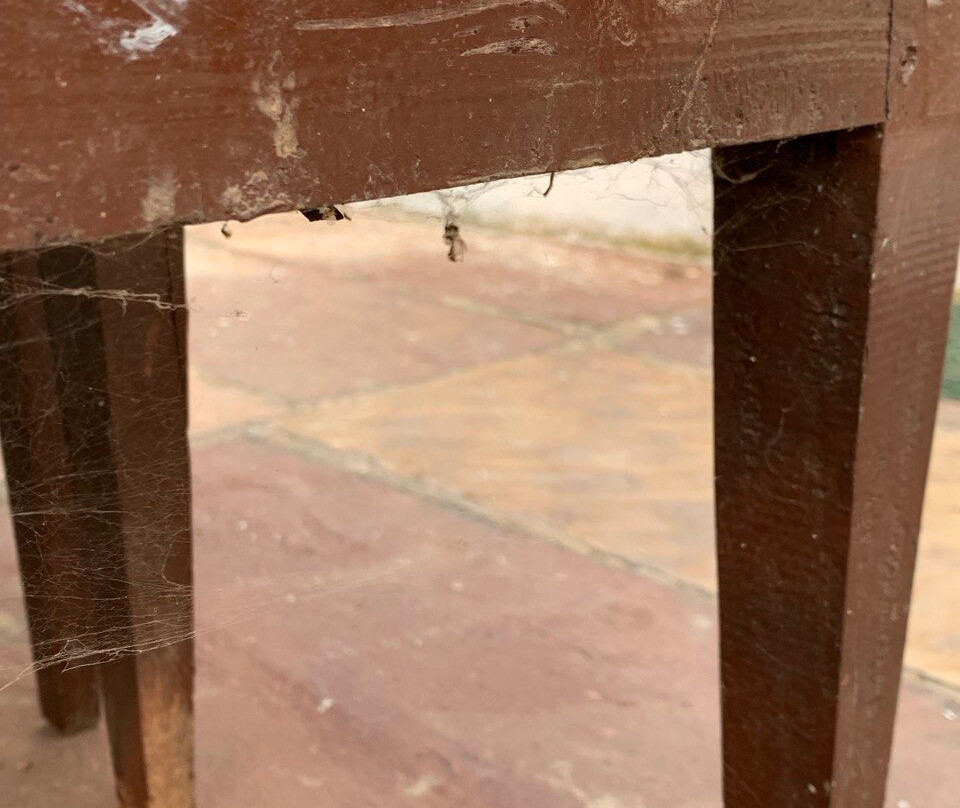 Panna Tiger Resort主图