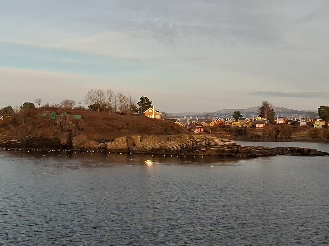 Fjord Cruise Oslofjord-奥斯陆必去景点