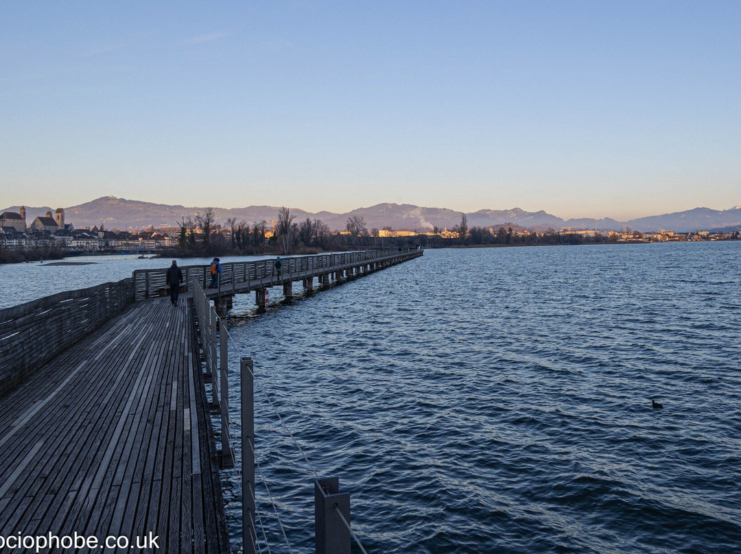 Wooden Bridge from Rapperswil to Hurden-拉珀斯维尔必去景点