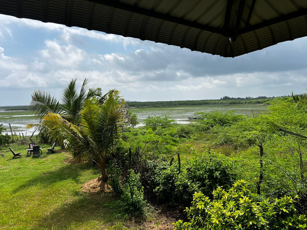 Bundala Flamingo Cottages主图