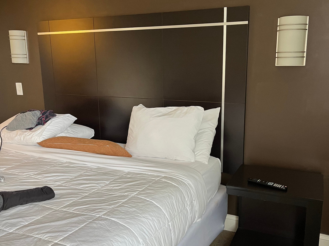 The Gin Hotel, Ascend Hotel Collection主图