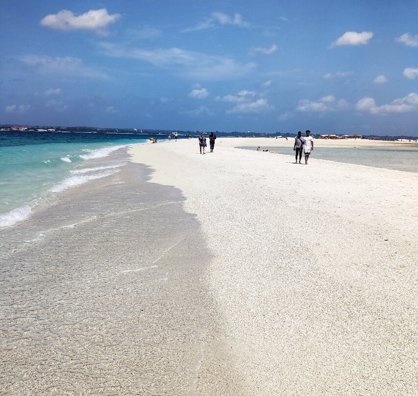 Be happy with smart driver (Mr. hafidh) and professional guide in  Zanzibar-Kizimkazi Dimbani必去景点