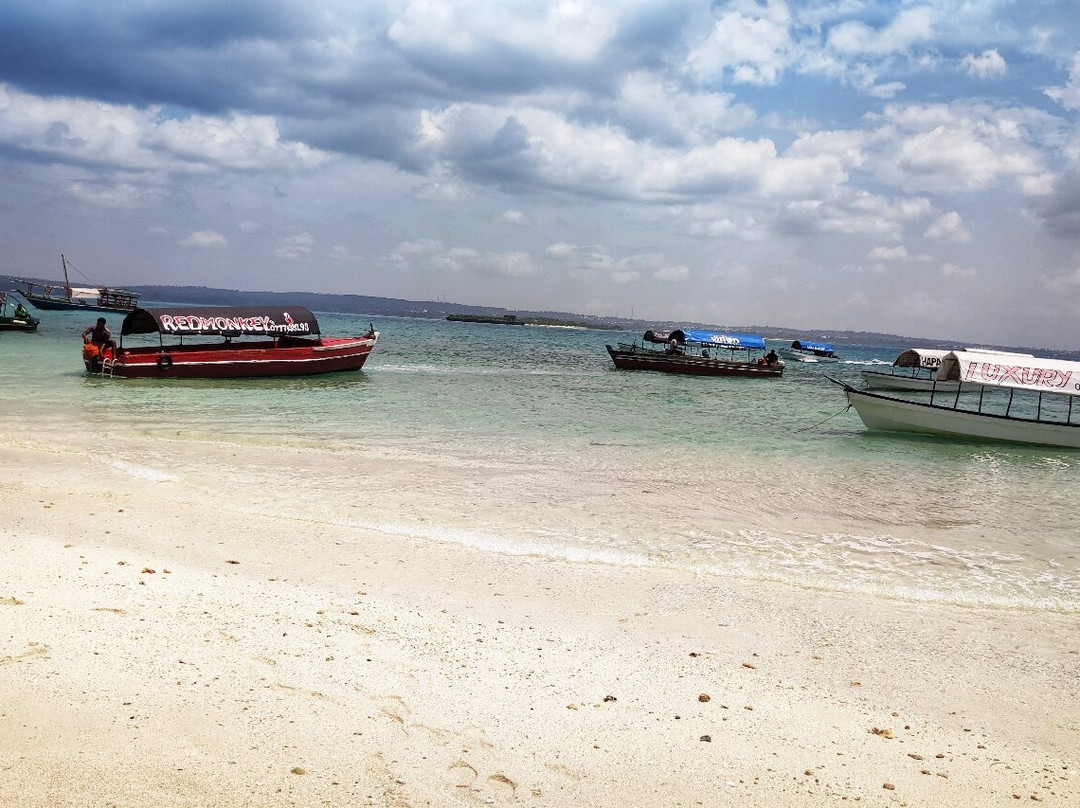 Be happy with smart driver (Mr. hafidh) and professional guide in  Zanzibar-Kizimkazi Dimbani必去景点