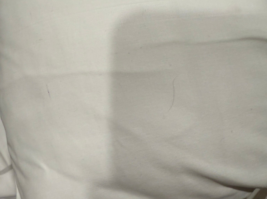 Blue Marlin Apartments主图