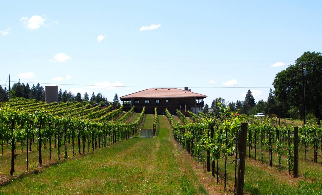 Golden Leaves Vineyard & Winery-Somerset必去景点