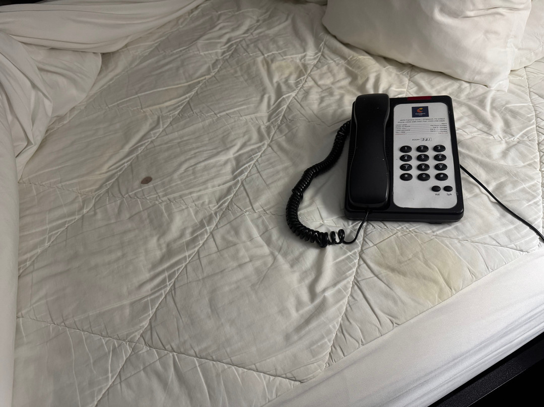 Comfort Inn South主图