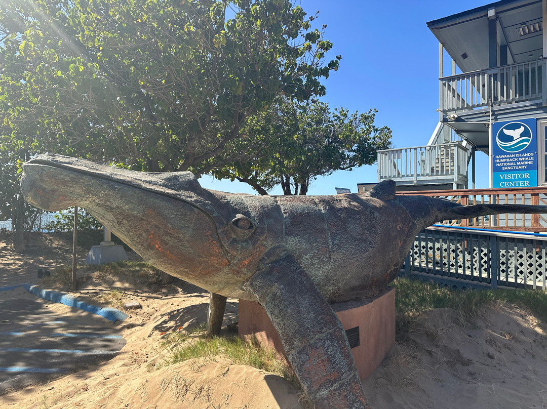 Hawaiian Islands Humpback Whale Sanctuary Visitor Center-基黑必去景点