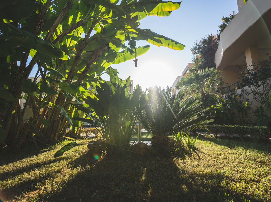 Helios Apartments主图