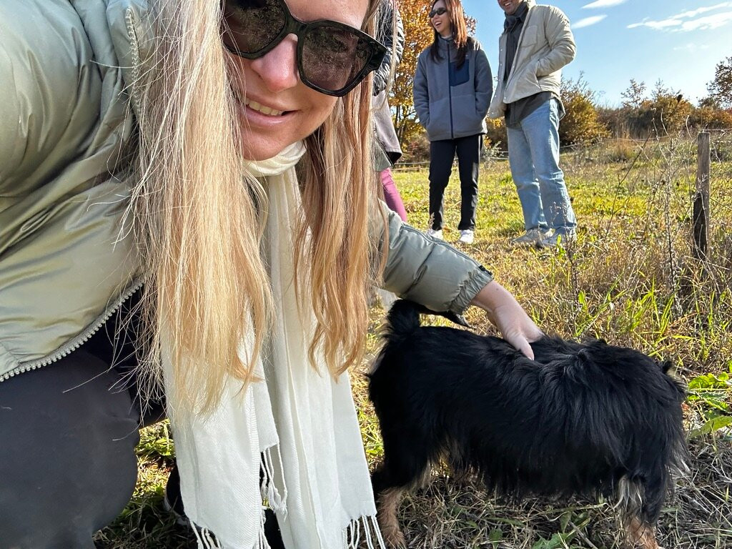 Truffle Hunting at Les Pastras景点图片
