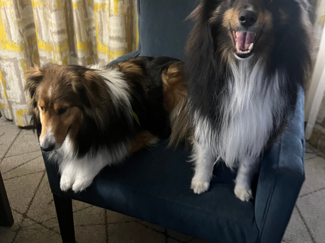 阿德尔希尔顿恒庭酒店主图