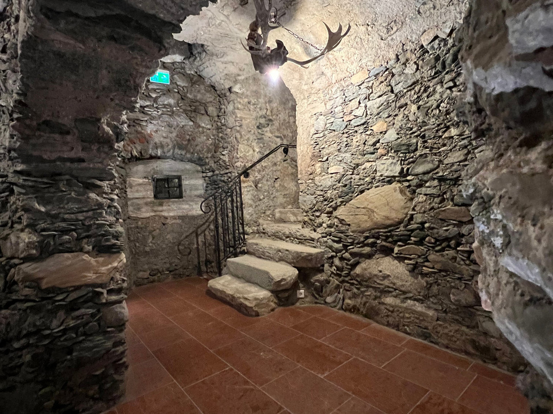 Schloss Mittersill主图