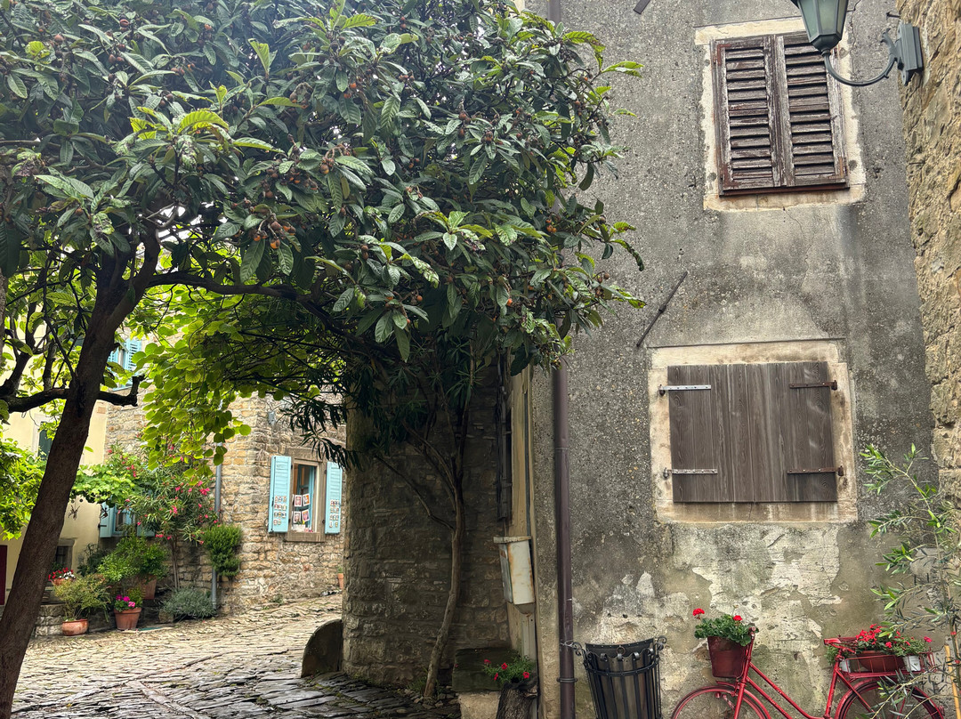 Bike Tours Istria-普拉必去景点