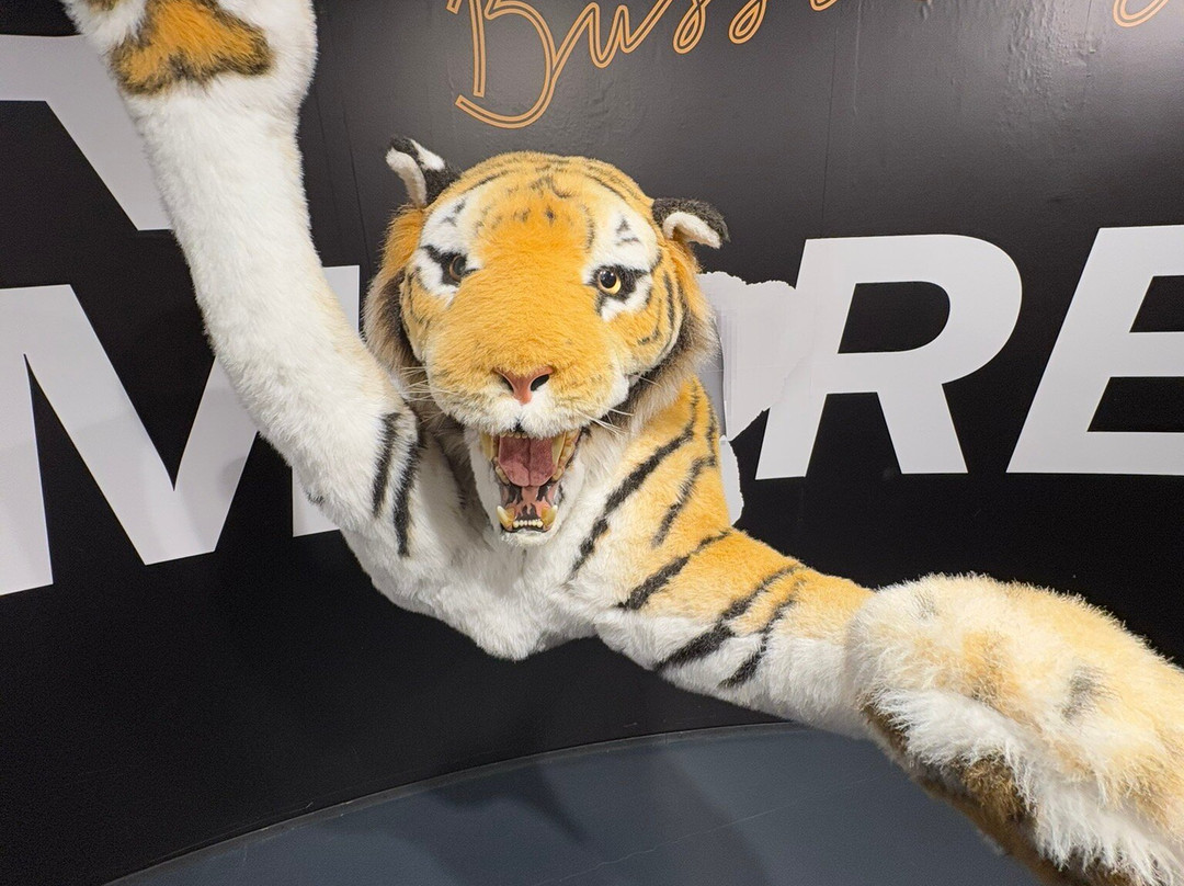 Tegernsee Phantastisch-Weissach必去景点