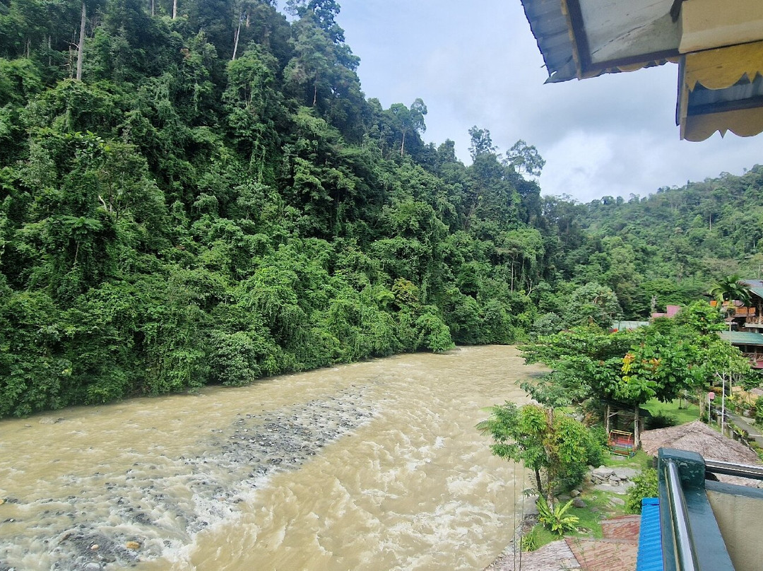 Indra Valley Inn Bukit Lawang主图