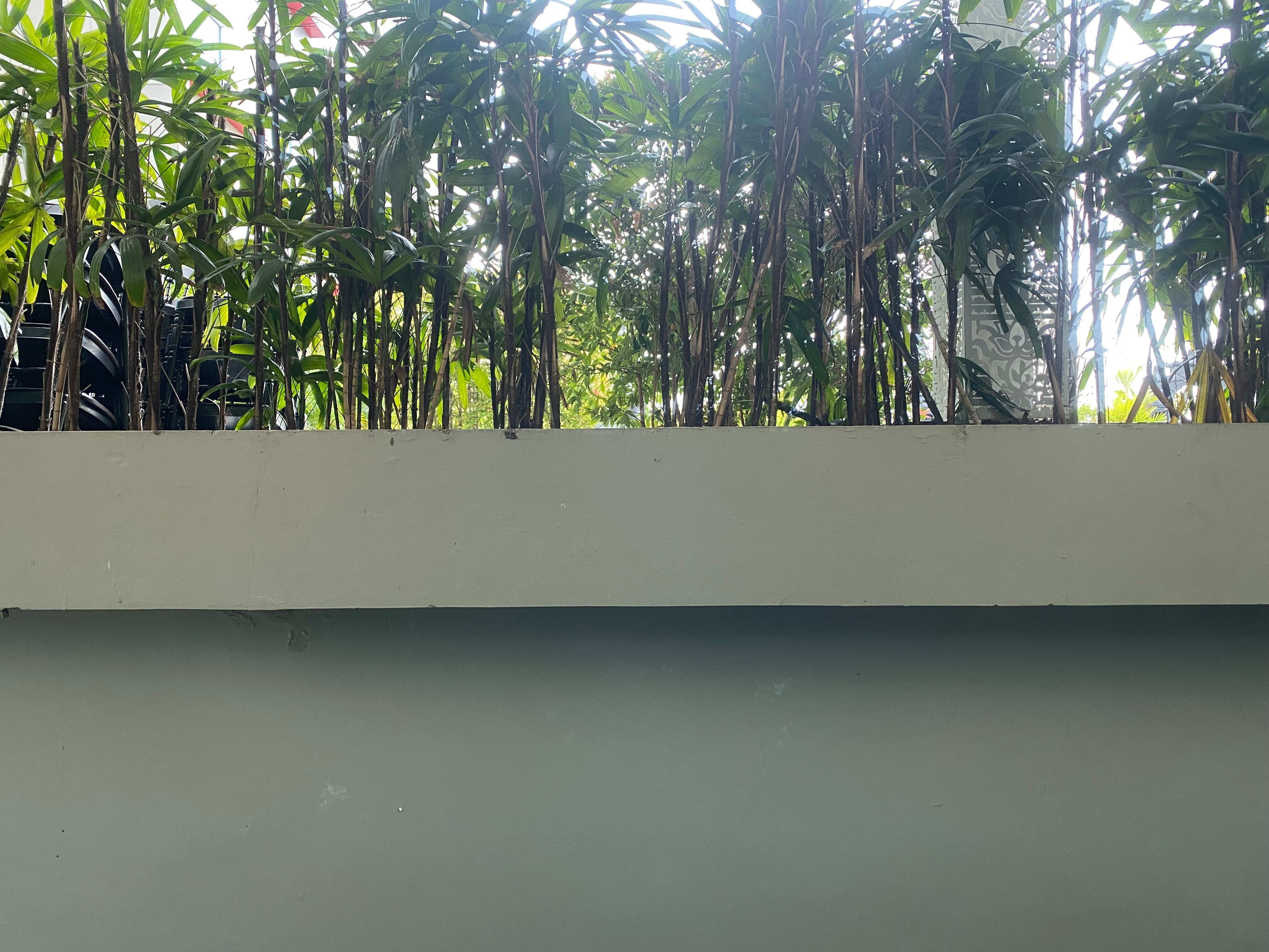 Grand Mercure Yogyakarta Adi Sucipto-酒店景观