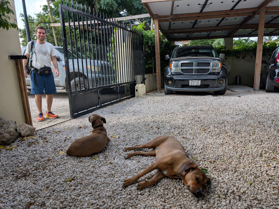 B&B Villa Zomerland主图