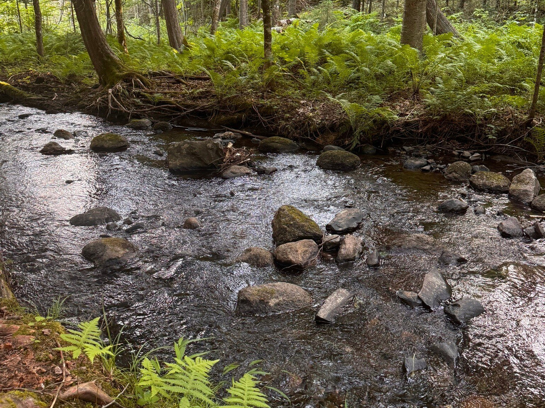 Hebergement aux Cinq Sens主图