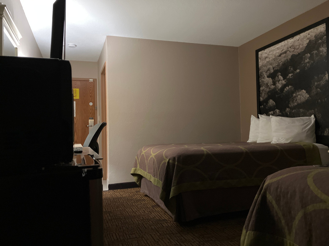 Super 8 by Wyndham Indianapolis/Emerson Ave主图