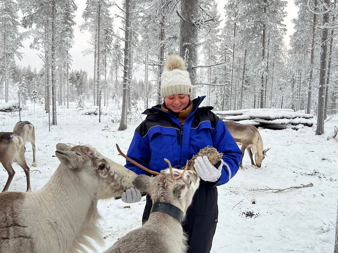Unique Reindeer Farm-Kemijarvi必去景点