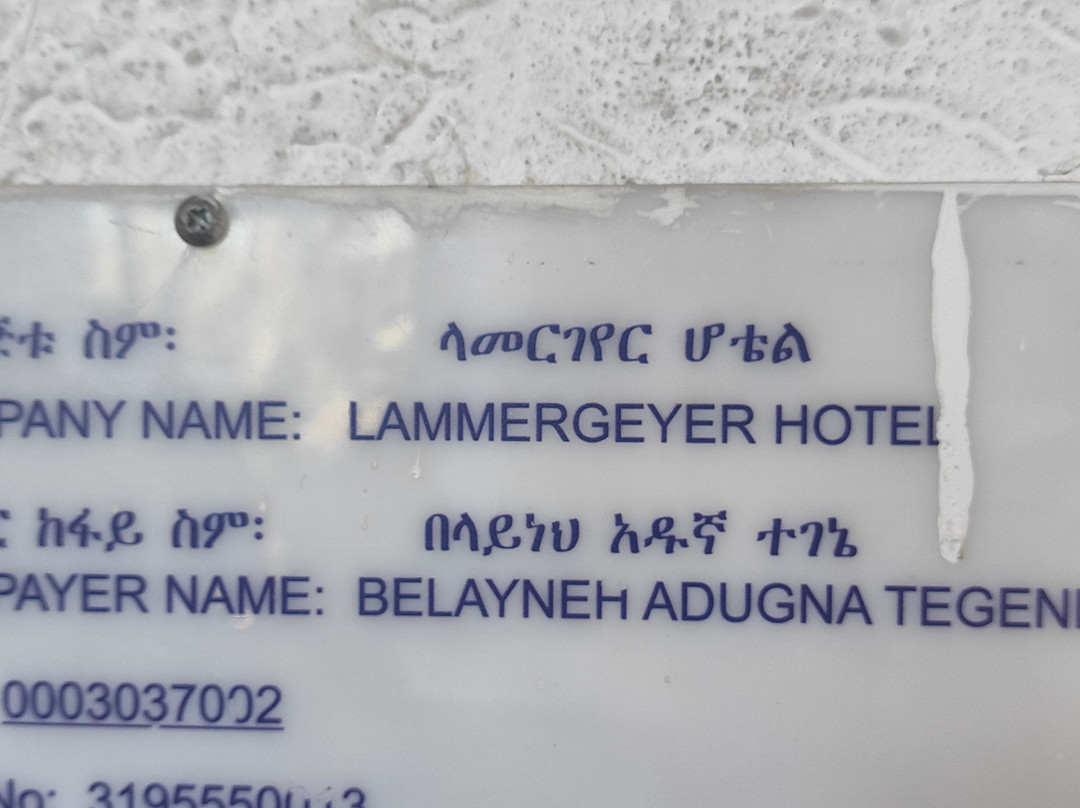 Lammergeyer Hotel主图