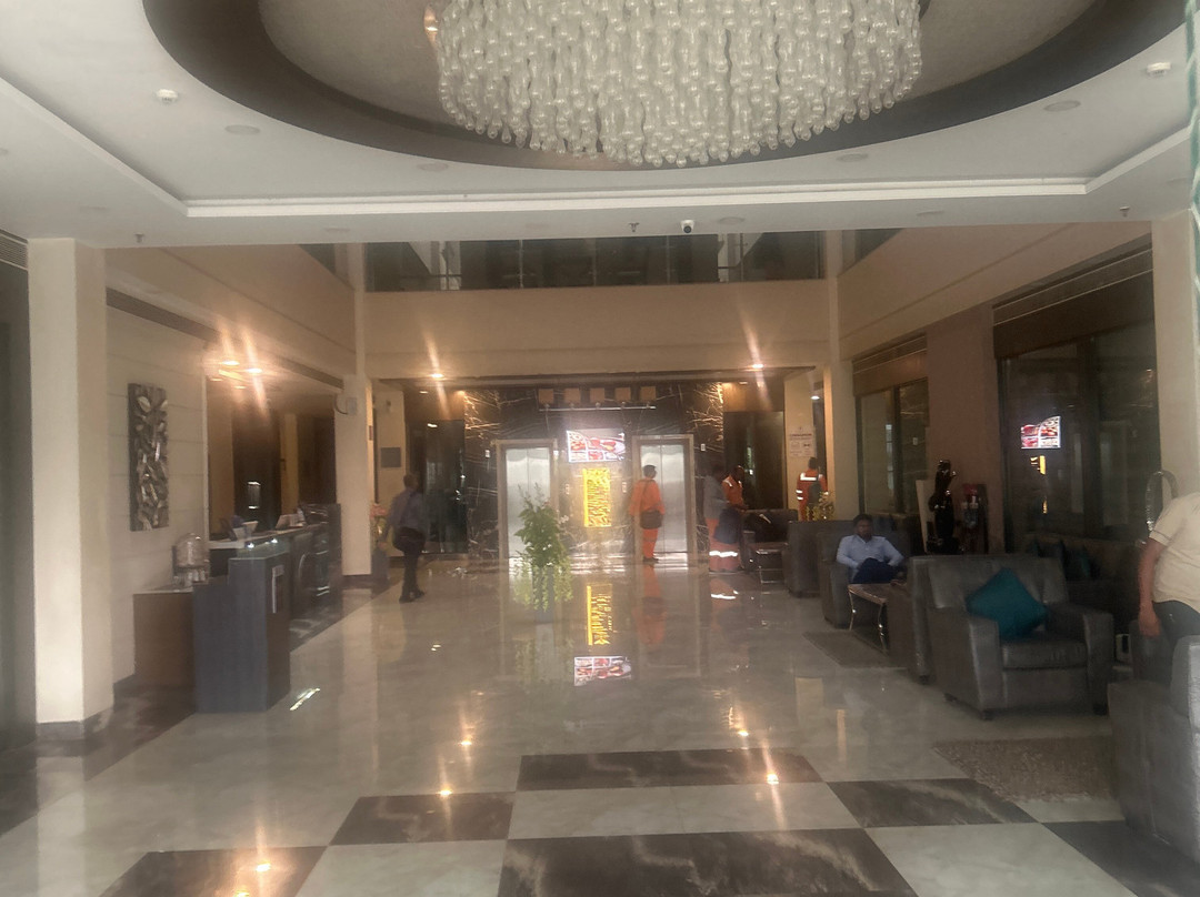 The Radiant Swan主图