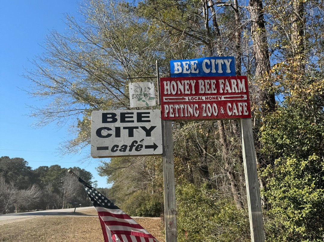 Bee City景点图片