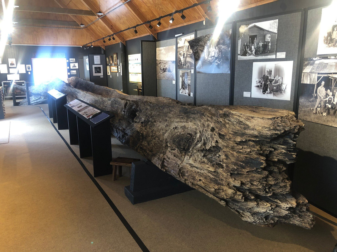 Otorohanga Museum景点图片