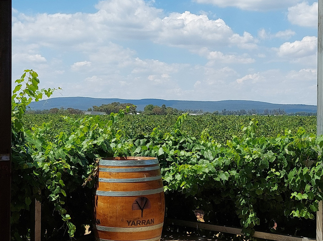 Bella Vita Riverina Tours-格里菲斯必去景点