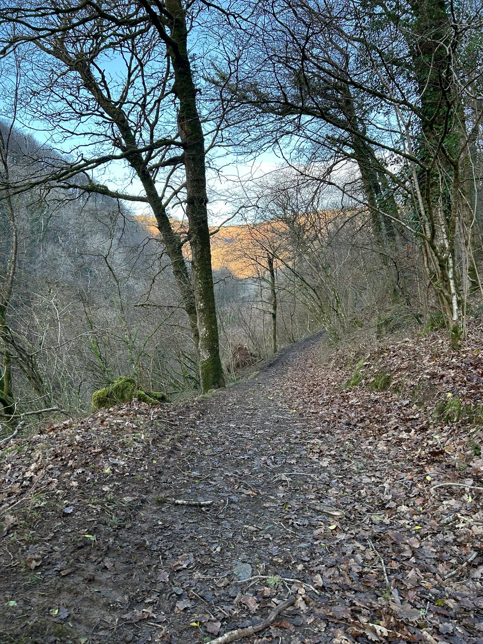 The Rockford Inn-官方