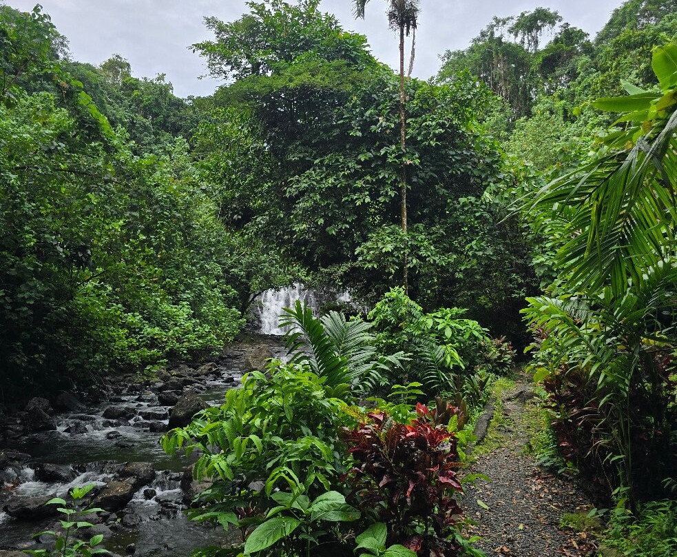 Kepirohi Waterfall景点图片