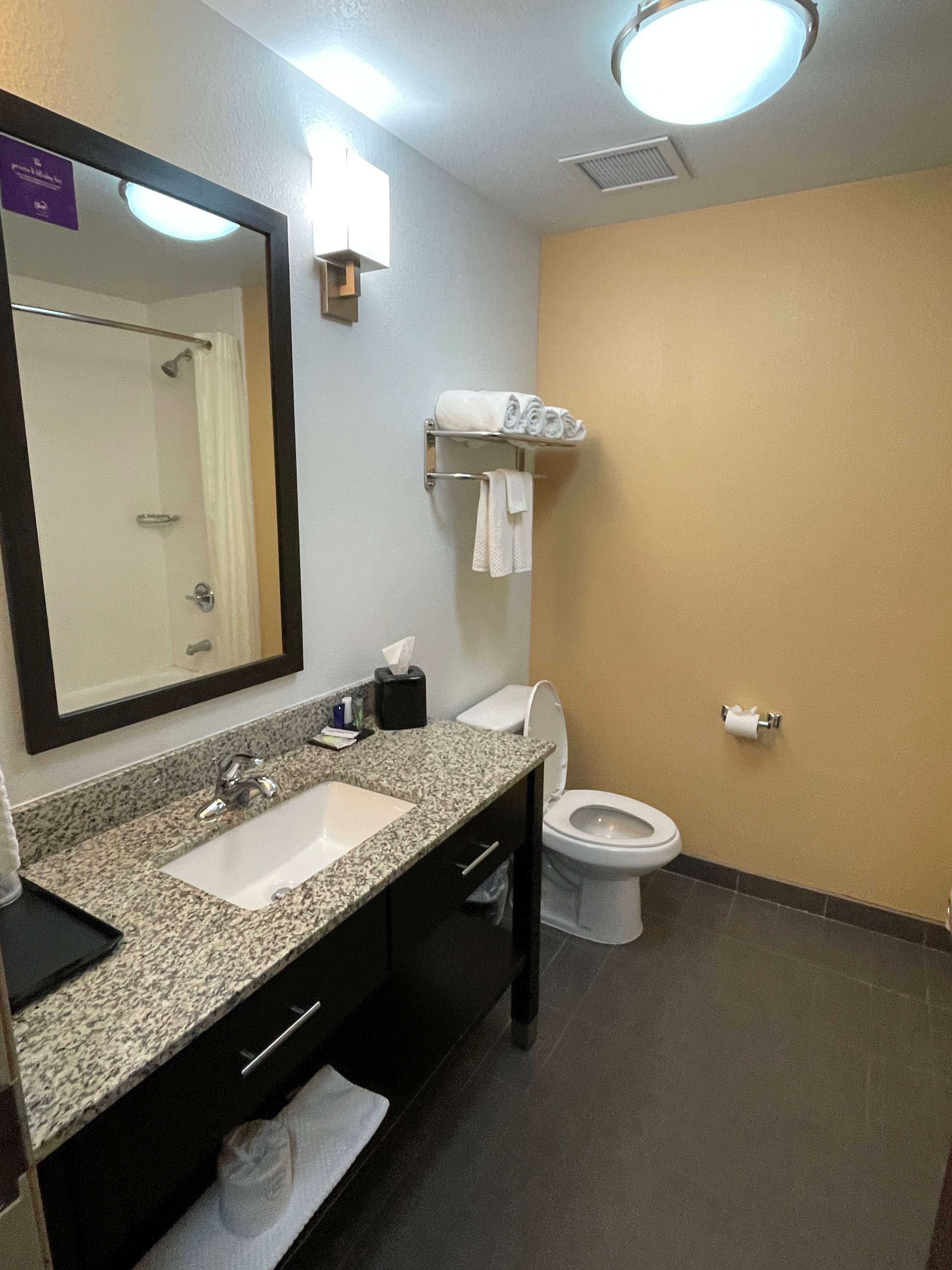 Sleep Inn & Suites Carlsbad Caverns Area-浴室
