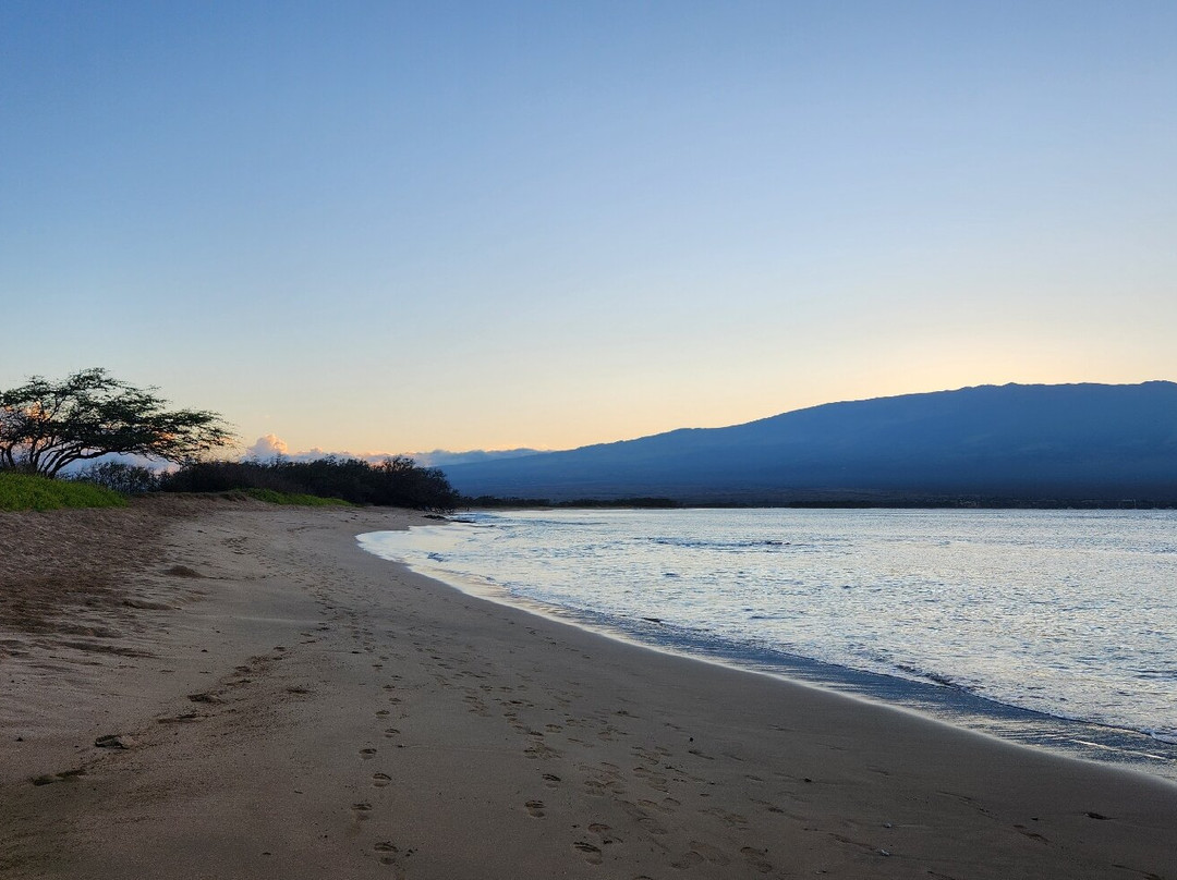 Haycraft Park-玛阿拉也亚必去景点