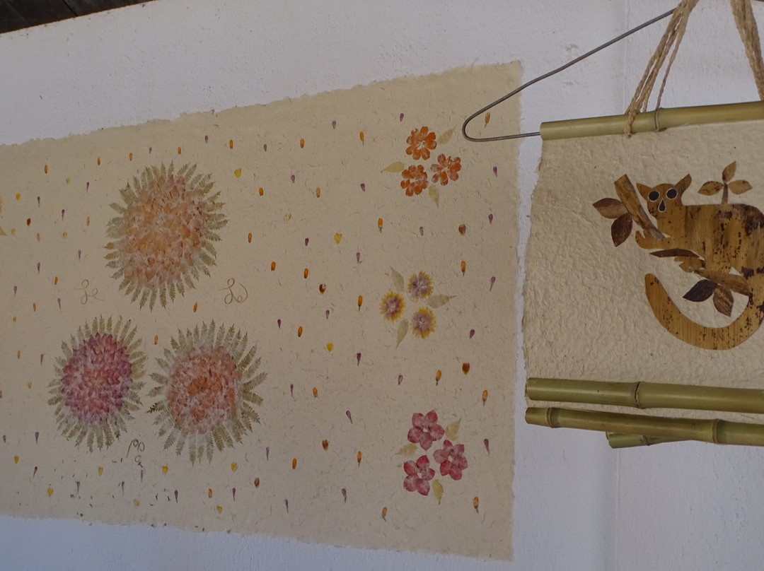 La Fabrique De Papier Artisanal Antemoro景点图片