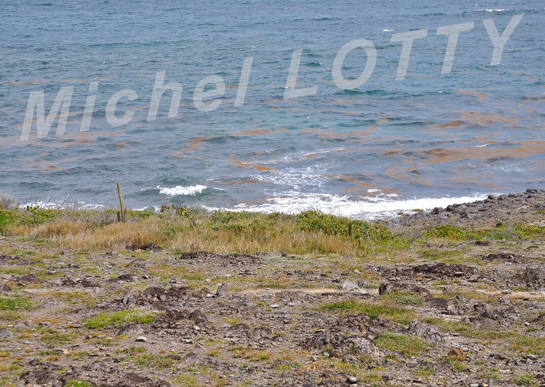 Domaine Du Grand Macabou-Le Marin必去景点