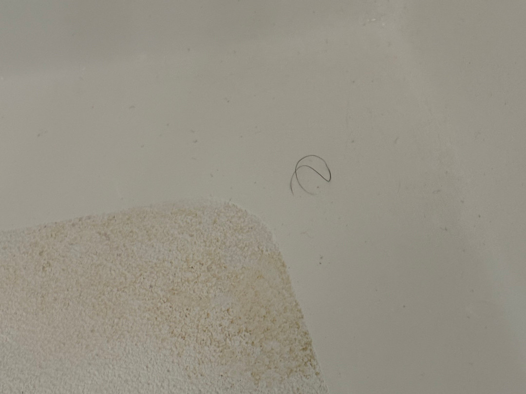 Holiday Inn Express & Suites Halifax Airport by IHG主图