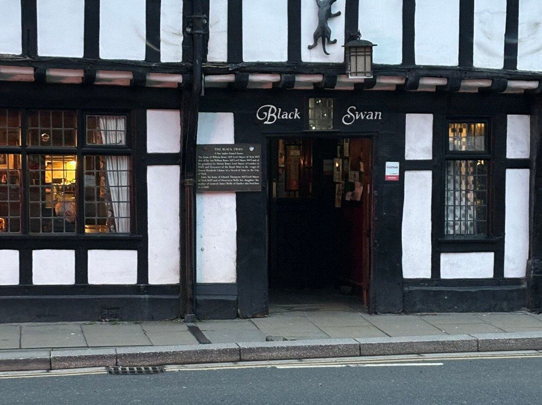 York Cat Trail-约克必去景点