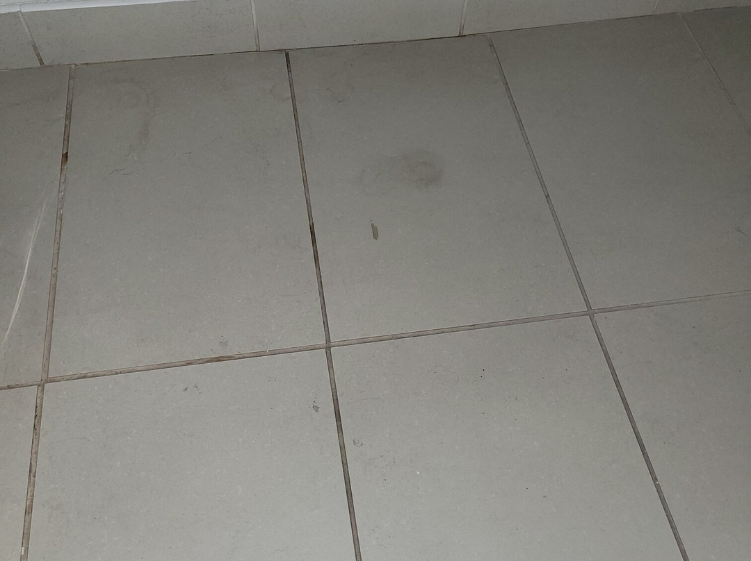 贝斯特韦斯特奥克布鲁克酒店主图