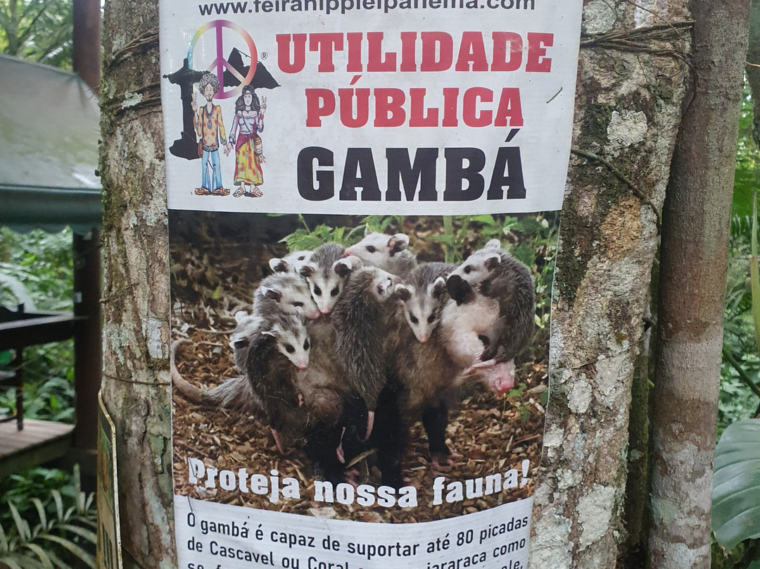 Cachoeira do Tobogã景点图片