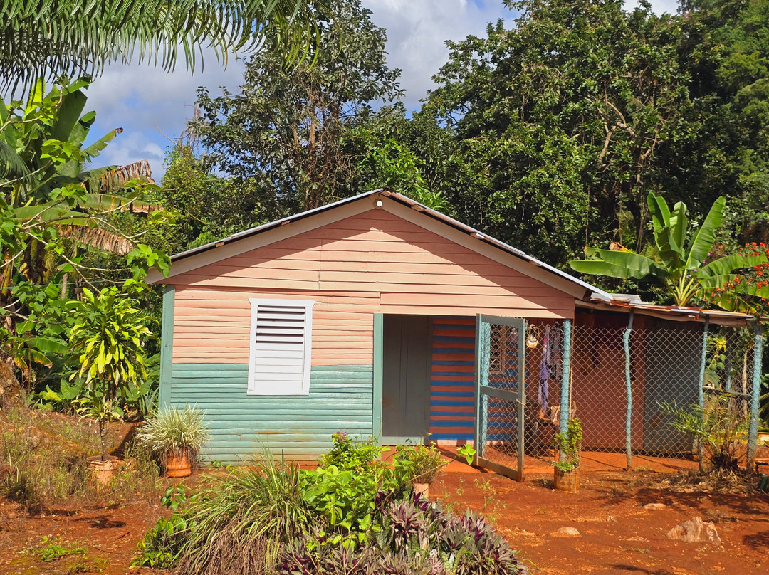 Ruta De Las Casas Típicas-Las Galeras必去景点