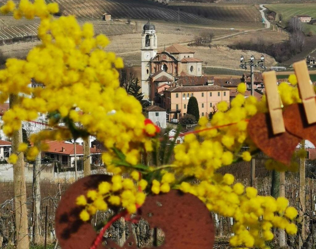 Agriturismo Mondo主图