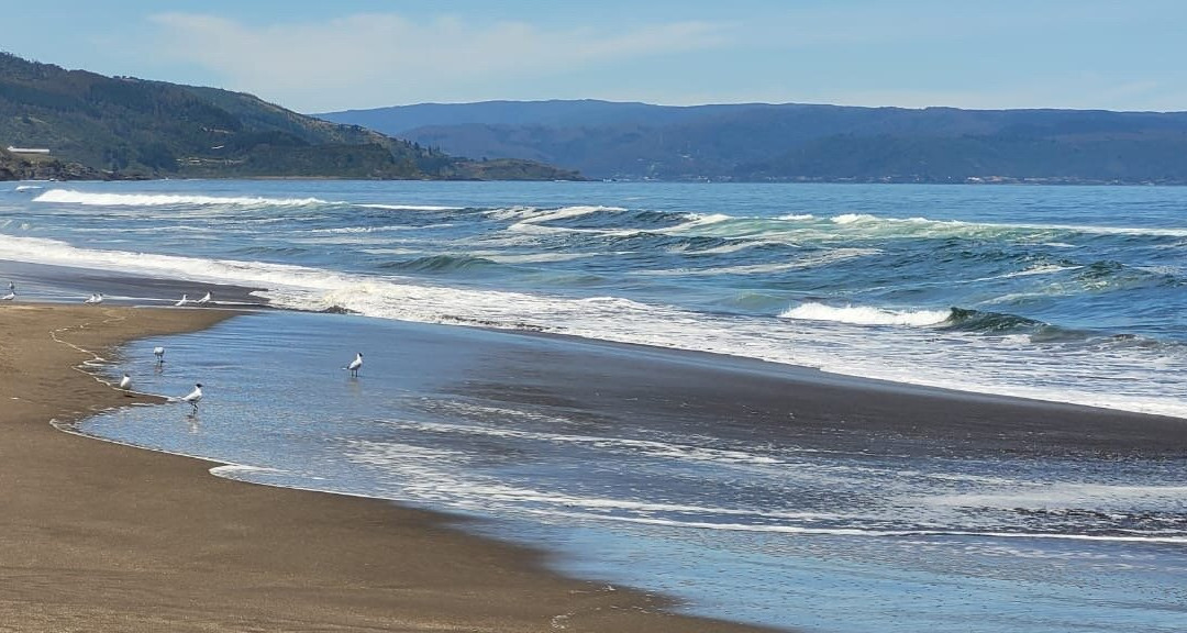 Playa Curiñanco