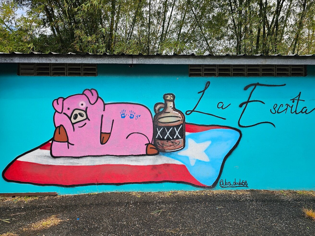 La Piedra Escrita景点图片