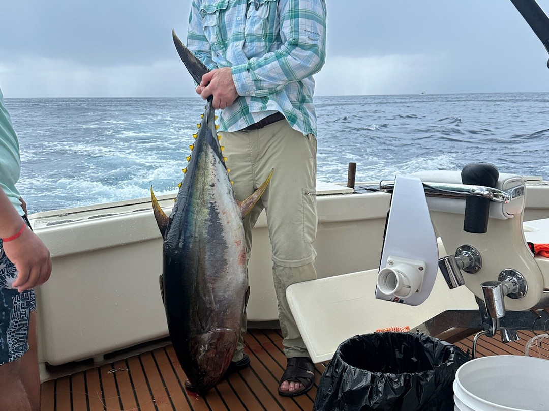 Captain Tom's Big Game Sportfishing景点图片