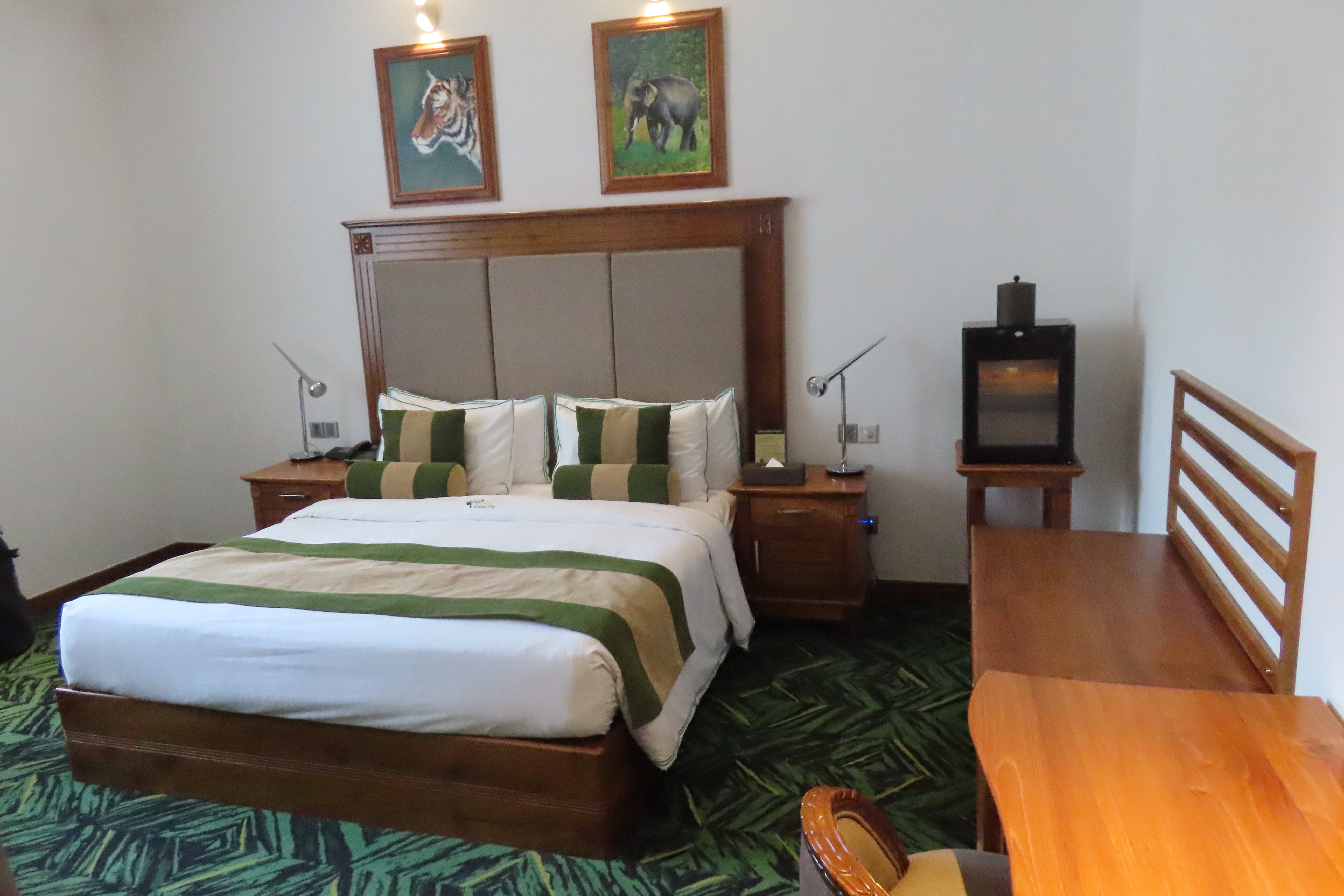 Araliya Green City-客卧