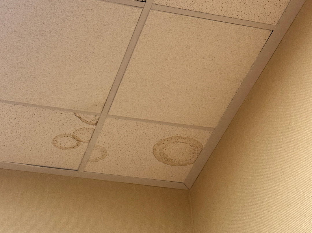 凯悦艾莫利维尔旧金山湾区域酒店主图