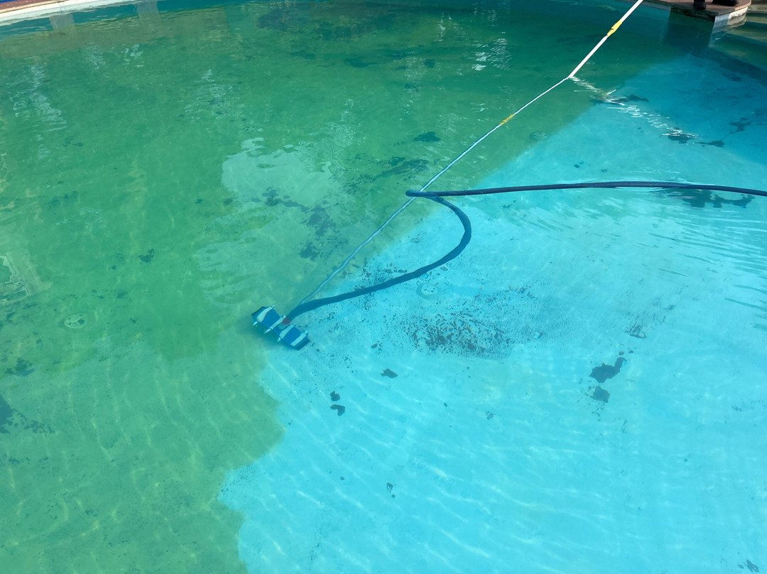 La Calypso Hotels主图