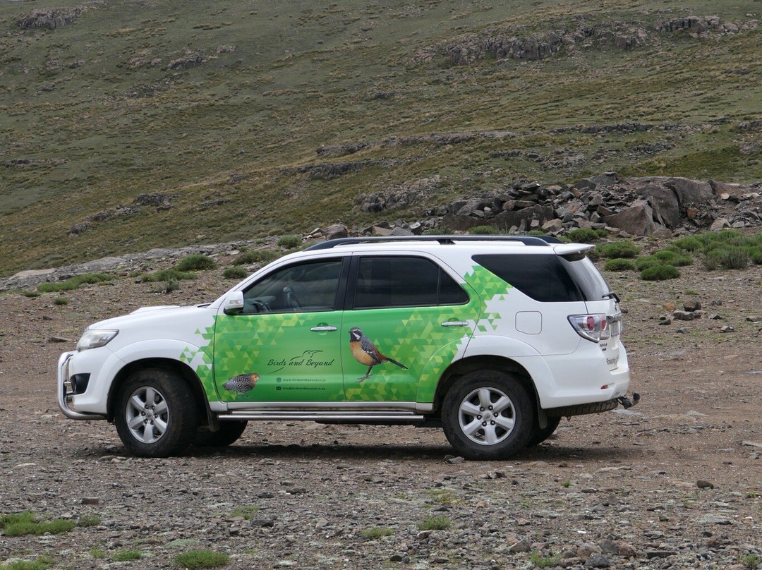 Birds and Beyond-Himeville必去景点