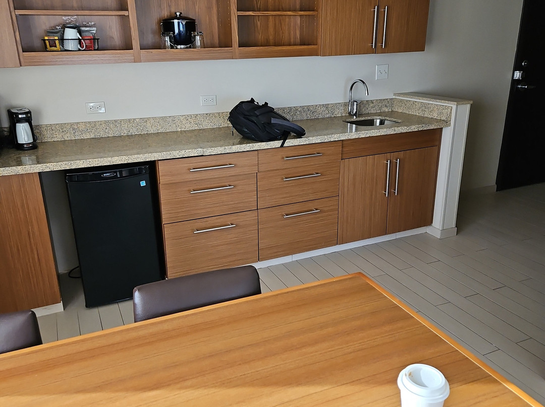 哈亚特帕拉斯香滨/厄巴纳酒店主图